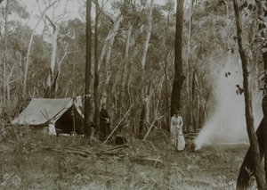 Pioneer Women in Land Clearing